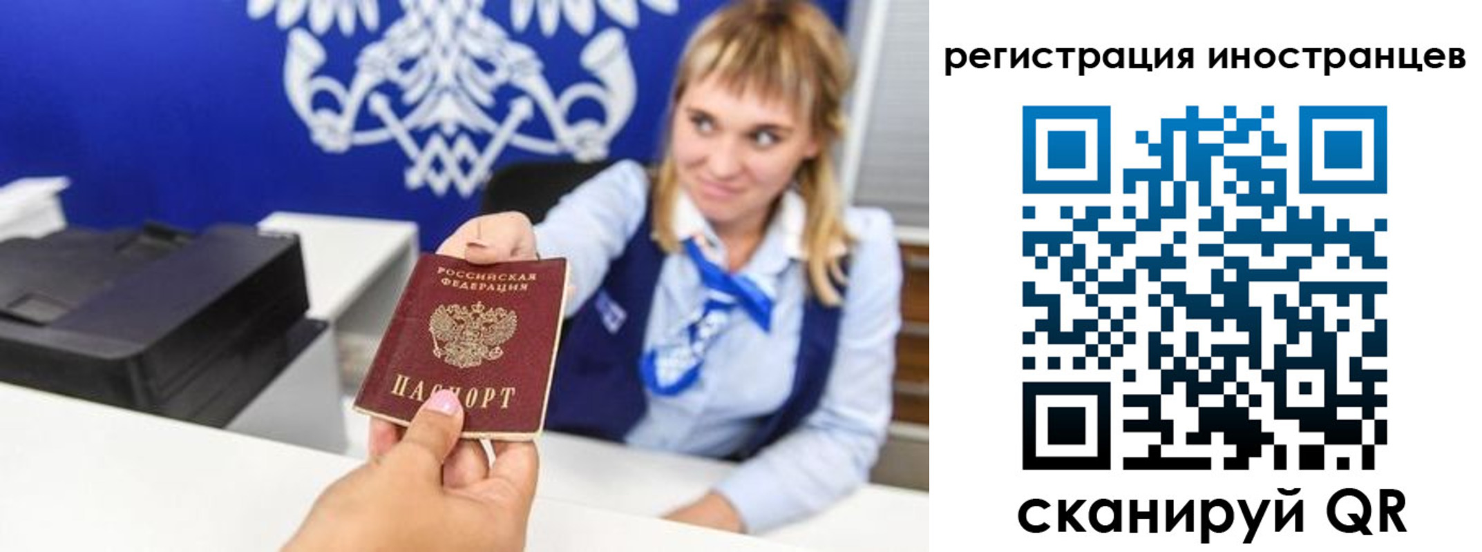 временная регистрация поиск в Апатитах